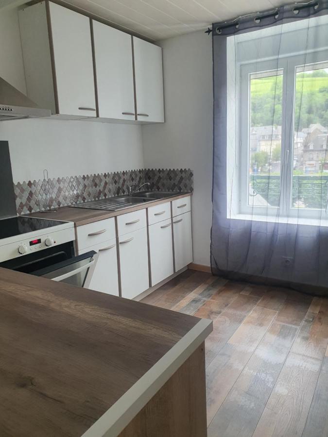 Ferienwohnung Bienvenue Chez Les Ch'Oups Le Cocoon La Bourboule Exterior foto